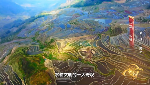 图片4 文章图片